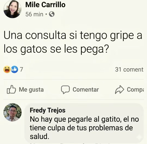 xPodri tweet media