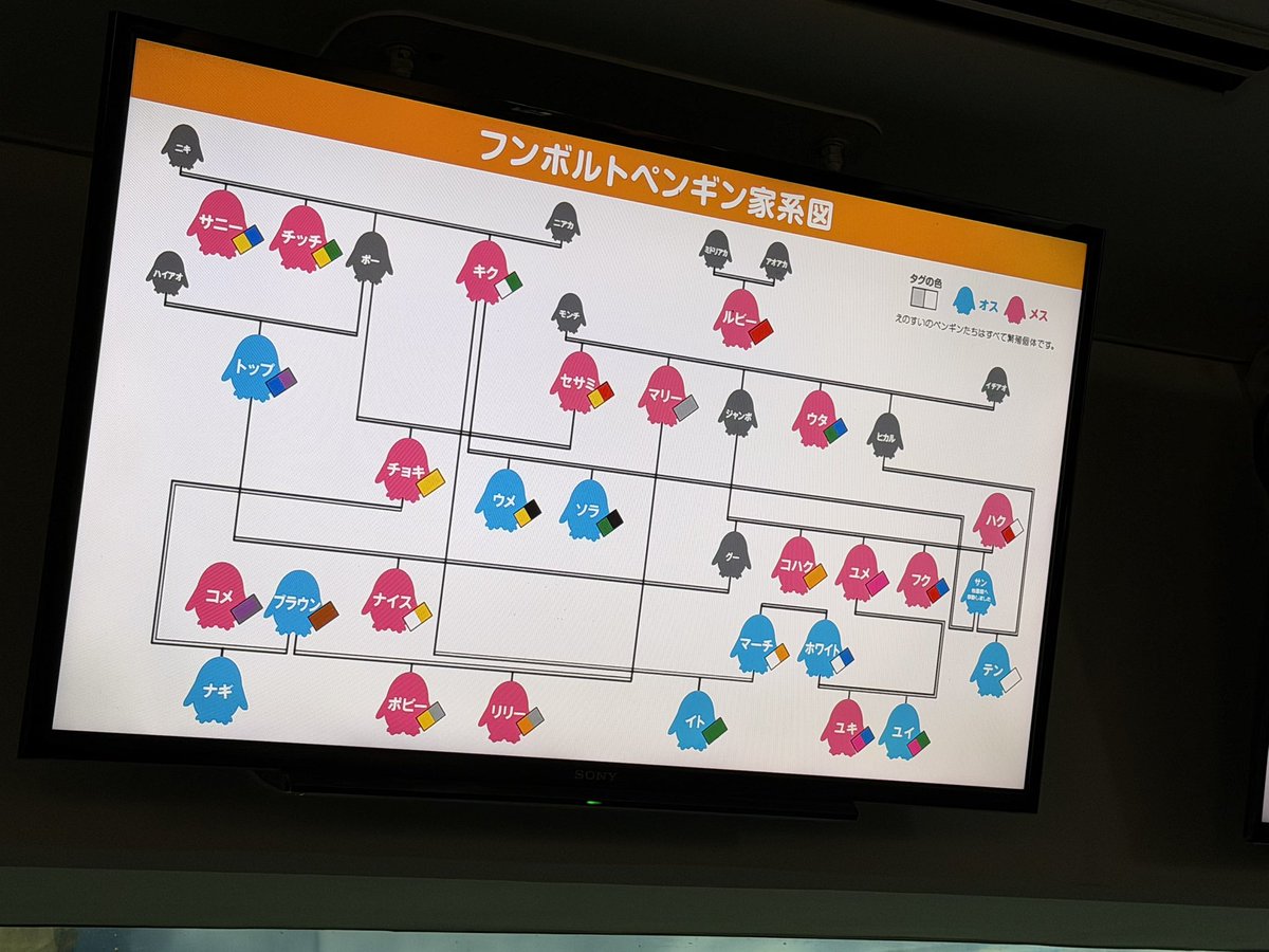 れんちゃ☃️わいてぃアンチ代表 tweet media