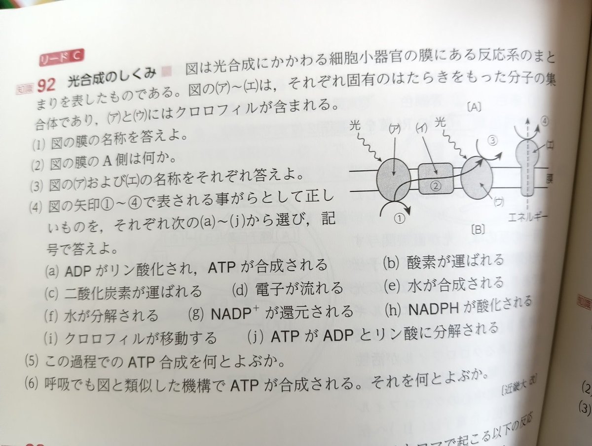 mamoti3032's tweet photo. 高1の生物問題集パラ見してびっくり
今の高校生物、こんな解像度で習うの？！ https://t.co/DRMRN8huHk