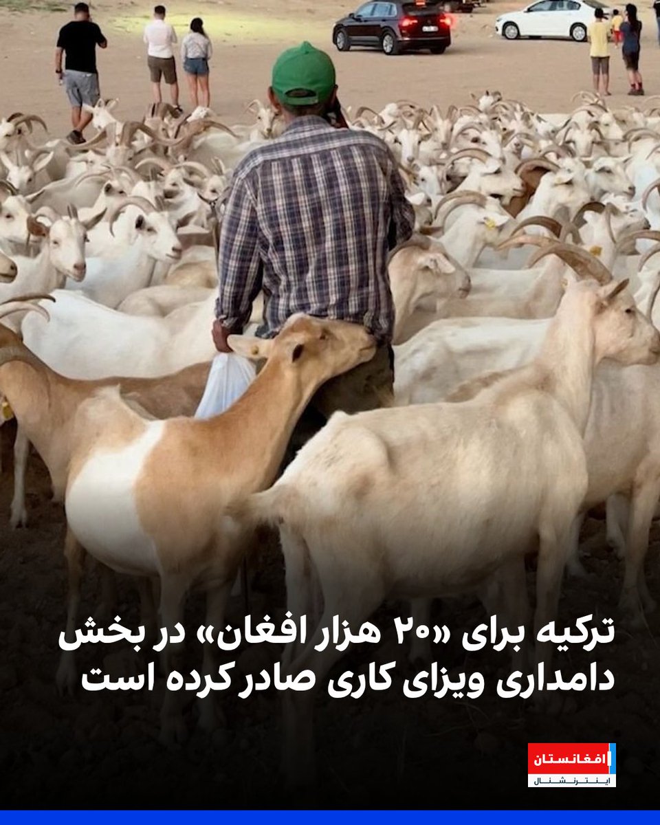 افغانستان اینترنشنال tweet media