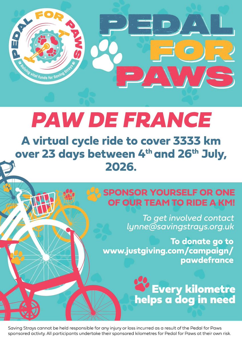 Saving Strays 🐾🐶🐕 tweet media