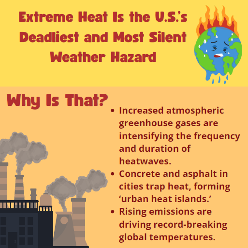 Dream_in_Green's tweet photo. Extreme heat is more dangerous in areas where concrete &amp; asphalt trap heat. 🌡️ This raises risks of heat exhaustion, dehydration, &amp; poor air quality — especially for vulnerable communities.

More trees &amp; green spaces = cooler, healthier cities. 🌳💧 #ExtremeHeat #ClimateAction https://t.co/mGrWggypBi