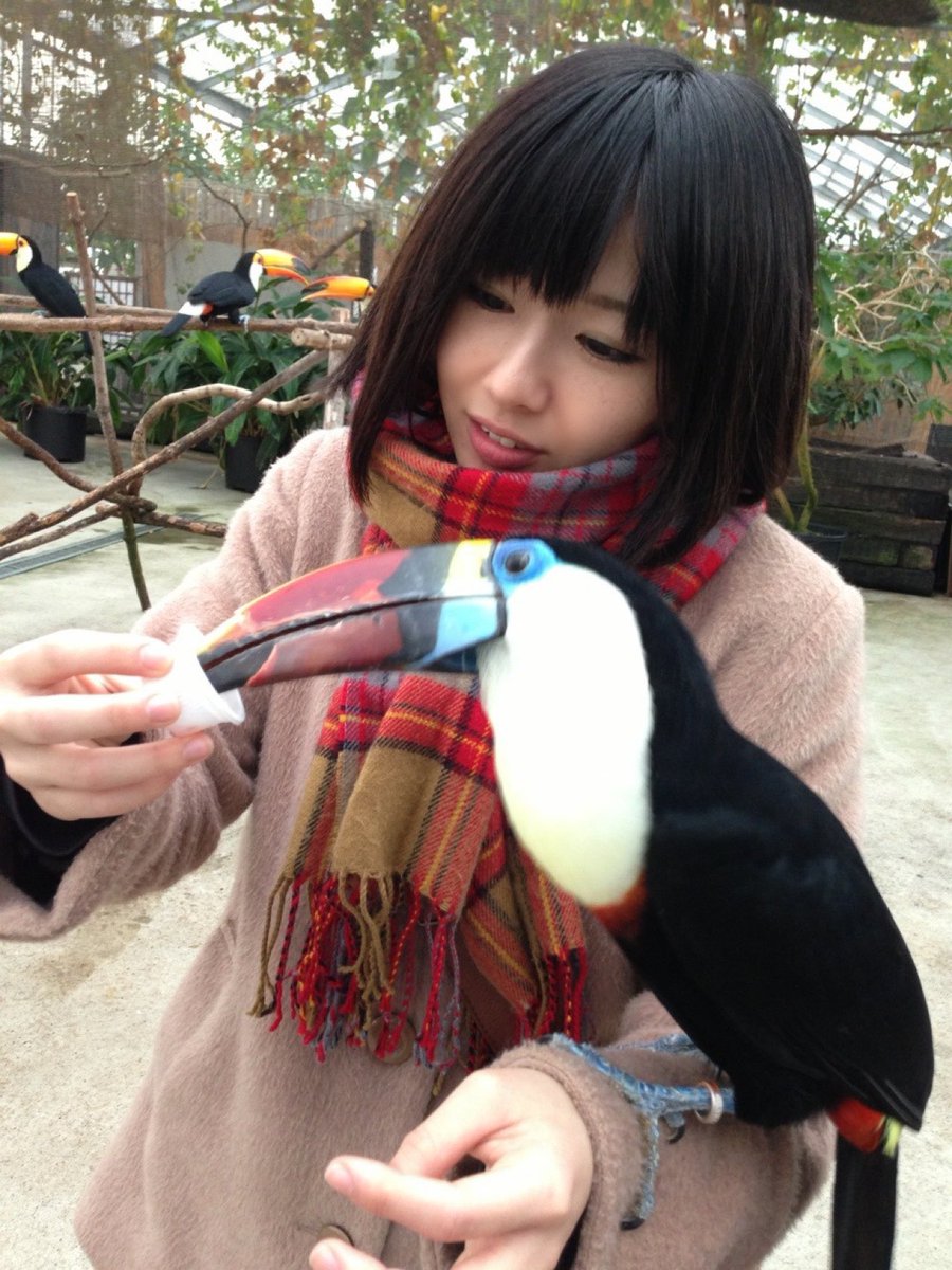 ∴ ソルテ̆̈ィ∴ tweet media