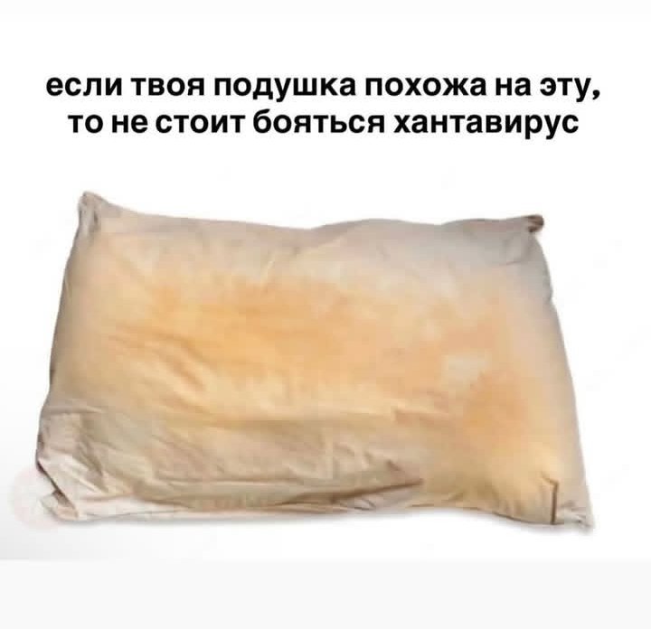_Agent_Q's tweet photo. https://t.co/QscnWxiuC9