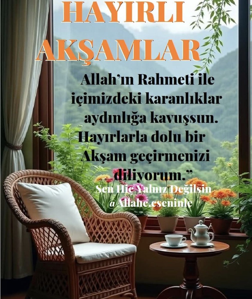 meral tok tweet media