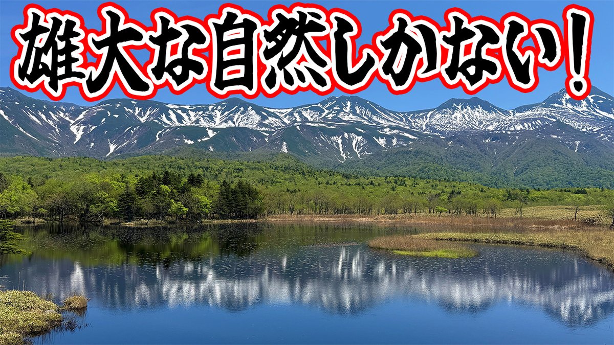 欖式 卯美優 - らんしき うみゆ 🐰🏰新人VTuber・個人勢 tweet media