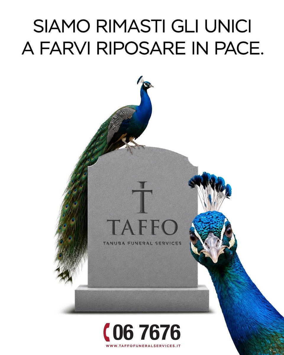 TAFFO tweet media