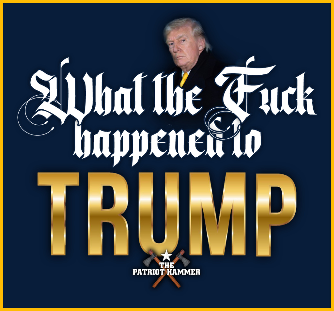 The Patriot Hammer tweet media