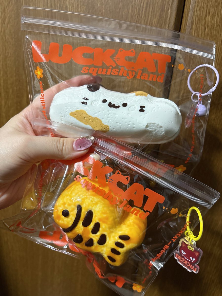 MyC011's tweet photo. スクイーズはじめました。
親友ちゃんに買っといてもらって今日受け取れたんだけど、これは…やばいね…。。
無心でむにむにし続けちゃうやつー…。 https://t.co/YdjSSqvkkZ