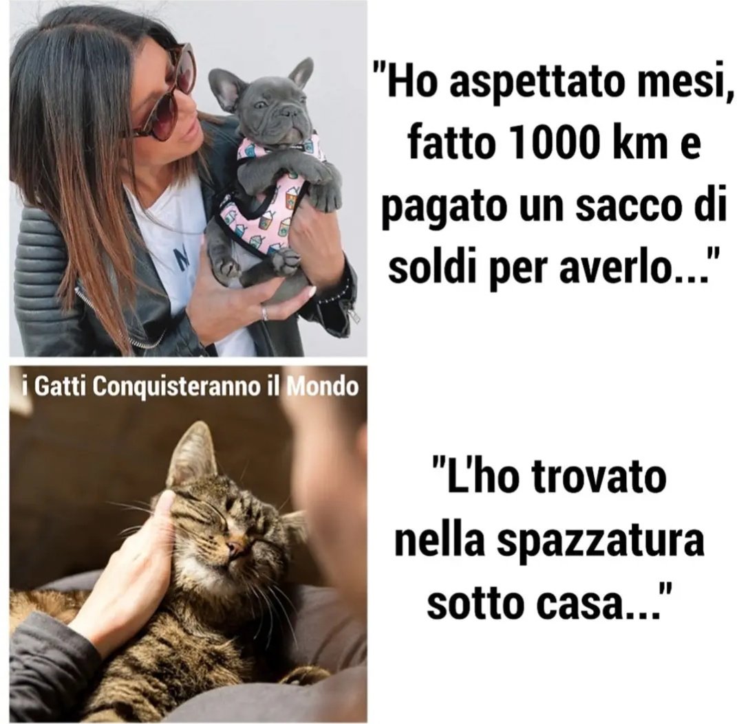 💙Giovanni💙 tweet media