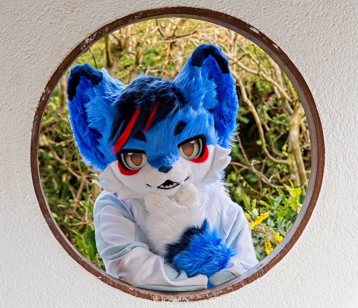 DeltaWolf tweet media