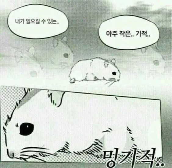 plc_012's tweet photo. 편지지를 오늘 출���하면서 샀는데 아직 안왓는데 내일새벽안으로(?)는 쓸수잇겟지... https://t.co/UbZolkE1of