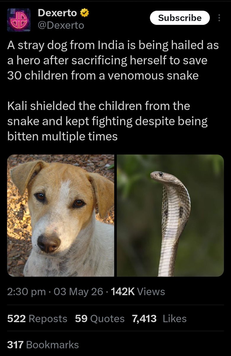 Crusader tweet media