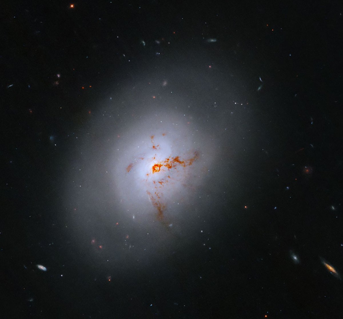 Hubble tweet media