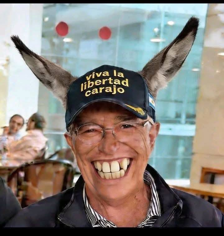 Polítik MX tweet media