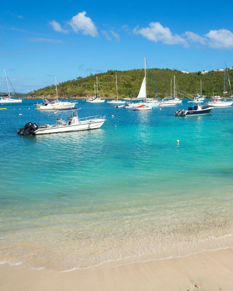 Visit USVI – U.S. Virgin Islands Dept. of Tourism tweet media