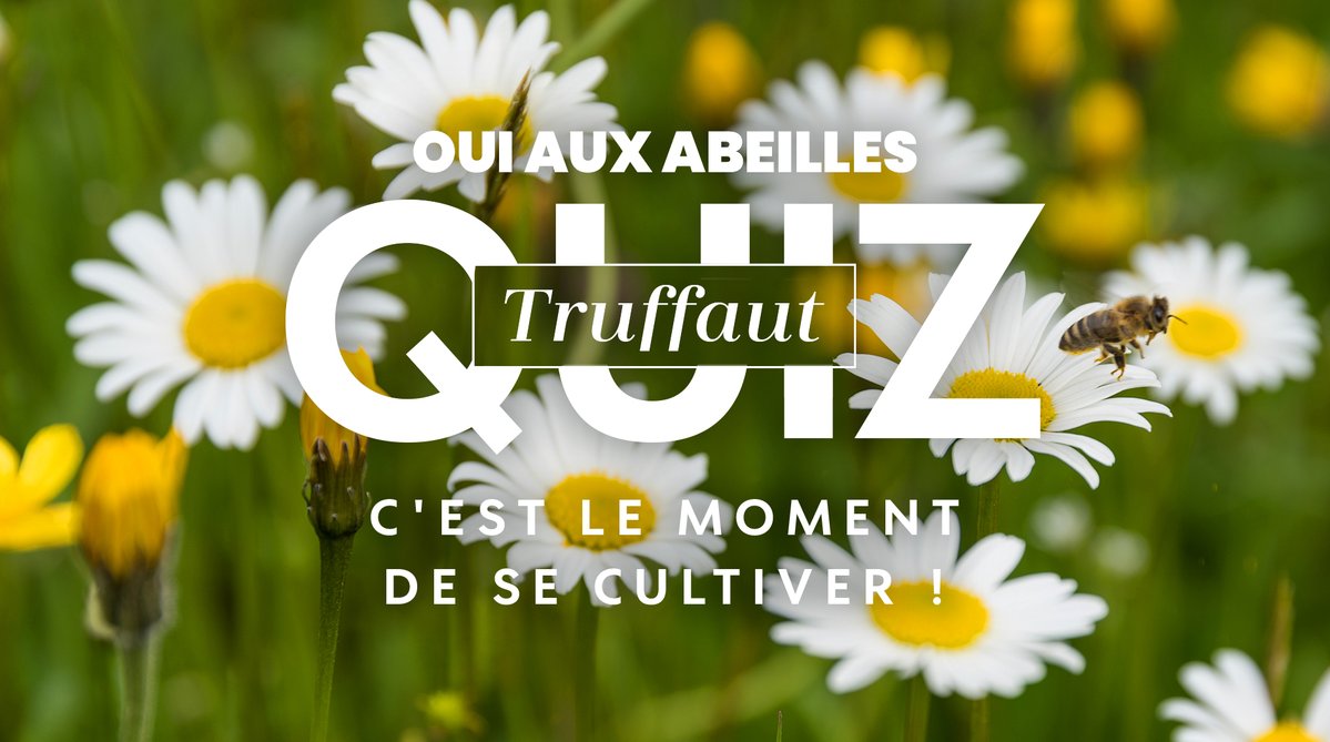 Truffaut tweet media
