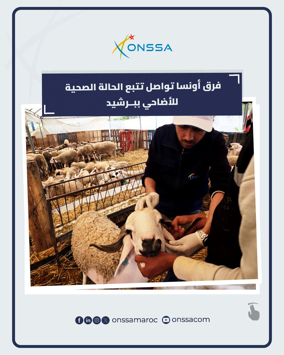 المكتب الوطني للسلامة الصحية للمنتجات الغذائية tweet media
