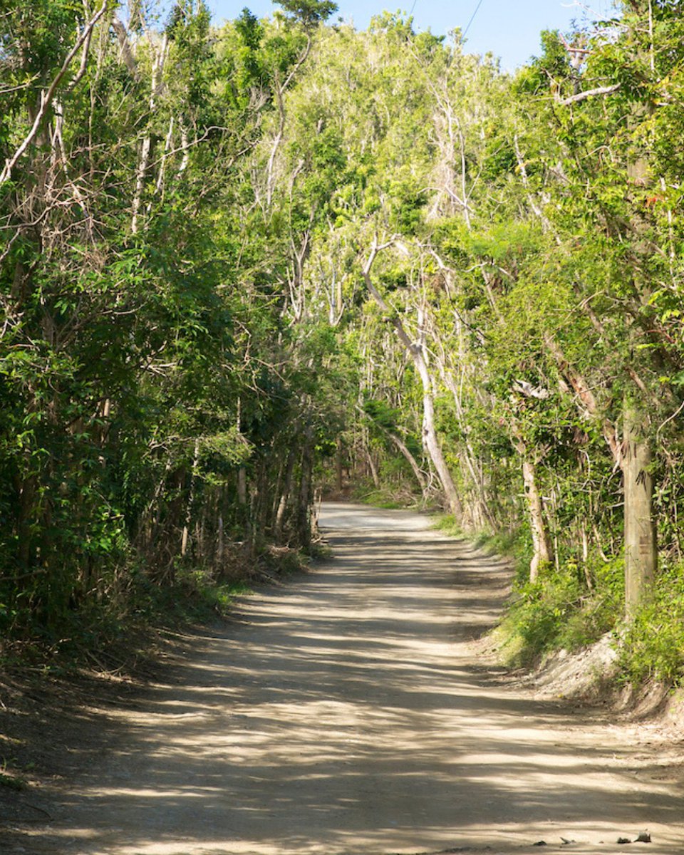 Visit USVI – U.S. Virgin Islands Dept. of Tourism tweet media