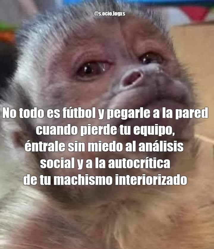 s(ocio)logxs tweet media
