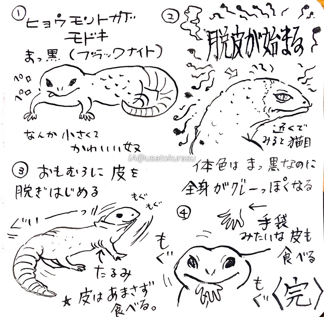 IA/アナログ絵 tweet media