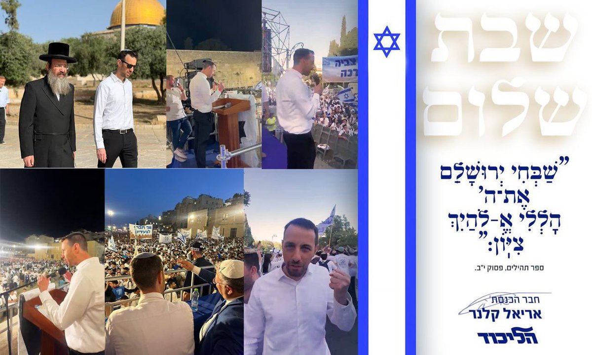 Ariel Kallner אריאל קלנר tweet media