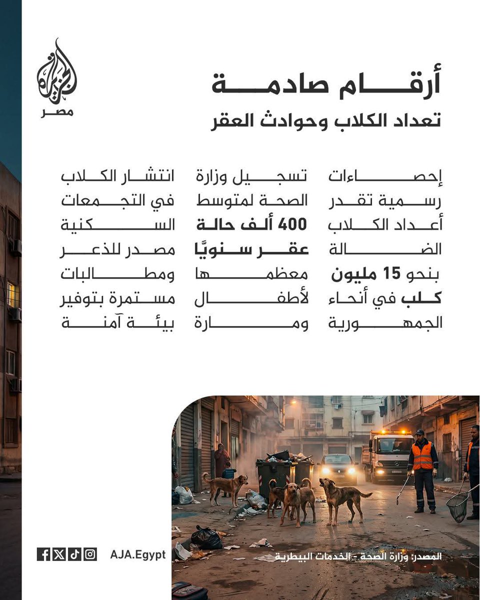 Sam nasef tweet media