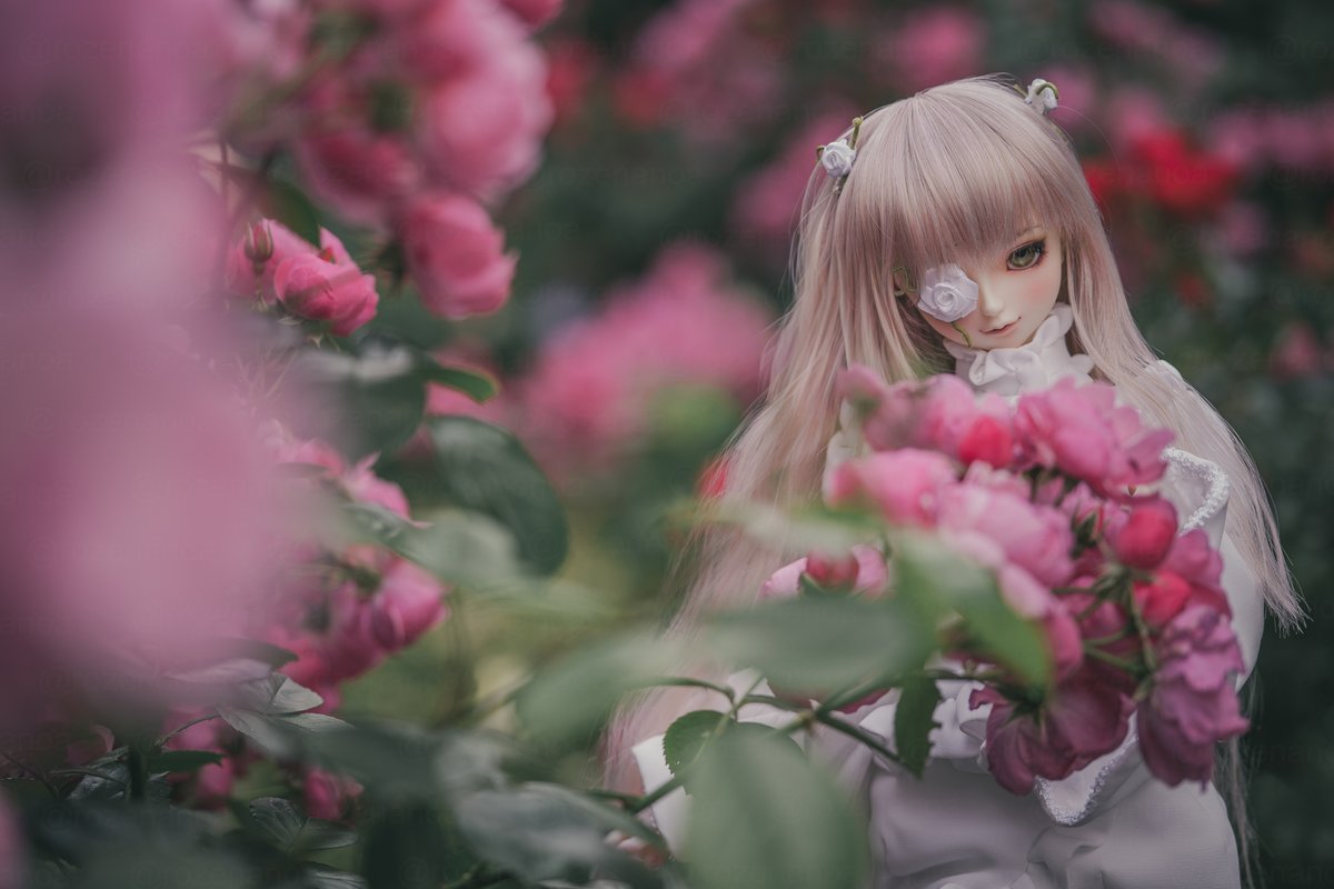 🌹こたつ🌹あのあ🌹 tweet media