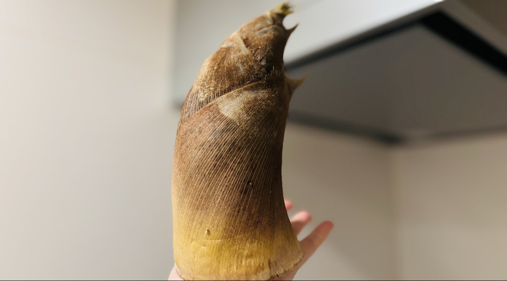 sq_sato's tweet photo. お肌が綺麗になりたい人はたけのこを食べよう。たけのこは薬膳では大腸と肺を強化してくれる最強のデトックス食材。便秘の改善（腸のお掃除）、痰や咳の改善、ニキビや吹き出物の改善におすすめなんだよ
 #satorecipe  #薬膳 https://t.co/EI9XzHIDfz
