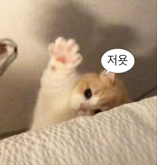 기력🍊없음🍄 tweet media