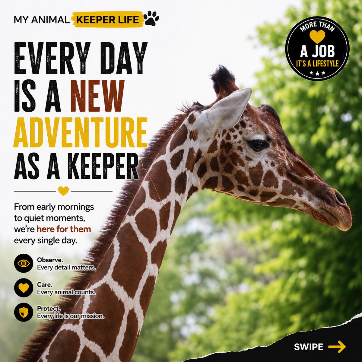 rubenzookeeper's tweet photo. Zoo animals always make the day better 🦁🐘🐒 Every visit is a new adventure full of amazing wildlife moments and unforgettable encounters. Welcome to my animal keeper life.

#ZooAnimals #Wildlife #AnimalLovers #ZooLife #rubenzookeeper https://t.co/KbsNEZk8Xp