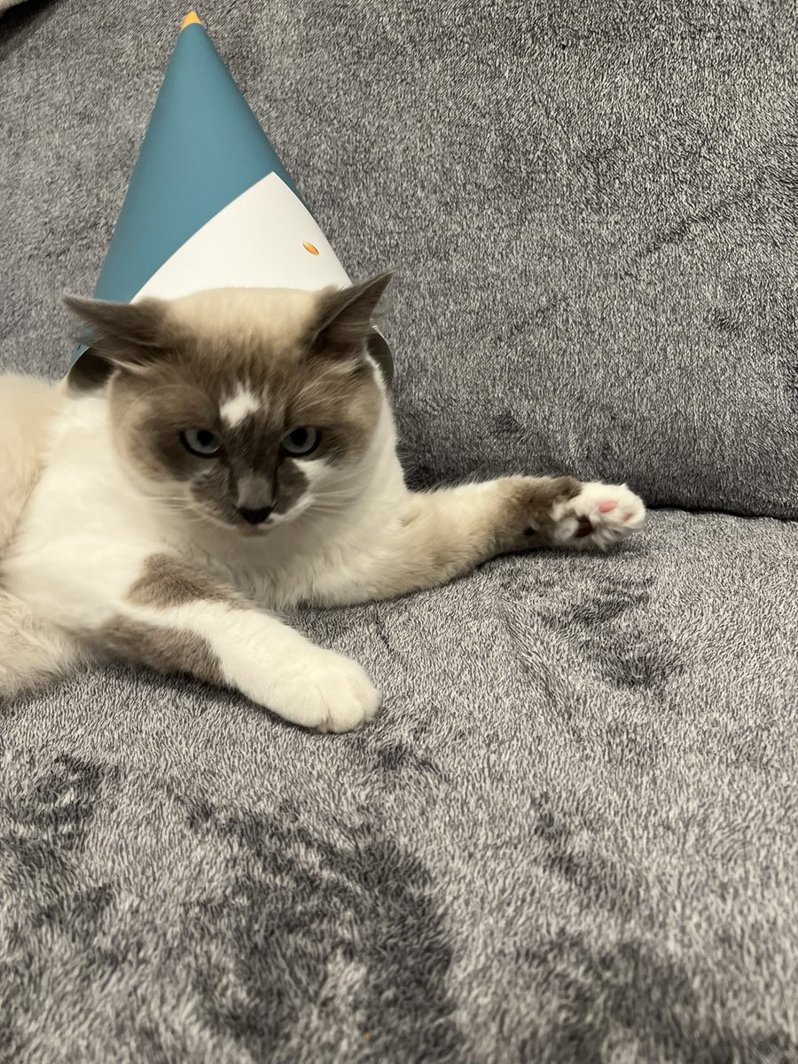 JuiYouss's tweet photo. Witch cat atelier https://t.co/3GZuhsHdh8