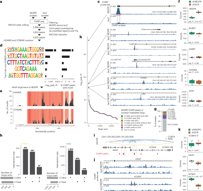 Nature Biotechnology tweet media