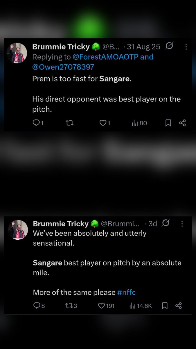 🌳 C NFFC 🔴⚪️ tweet media