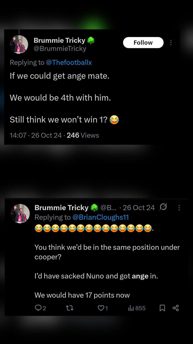 🌳 C NFFC 🔴⚪️ tweet media