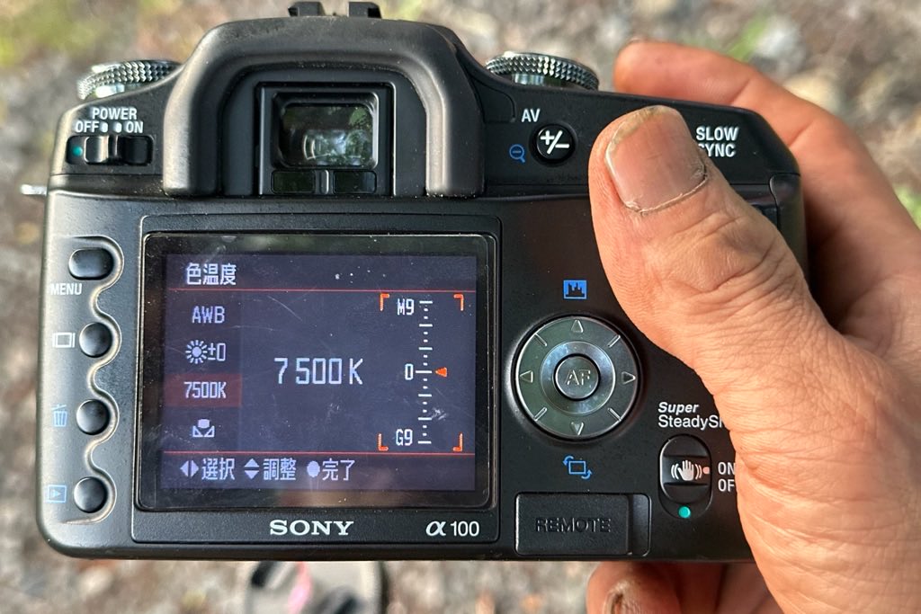 u3n901's tweet photo. ソニーα100、入門機なのにホワイトバランスの調整… ケルビン値だけじゃなく、レッド/グリーンの補正もできるあたり、コニカミノルタから引き継いだのか、電気で画を描くソニーの意地なのか… #CameraM で見たインターフェイスだからすんなりとイケました。寝るべし https://t.co/R6fpDTcvtL