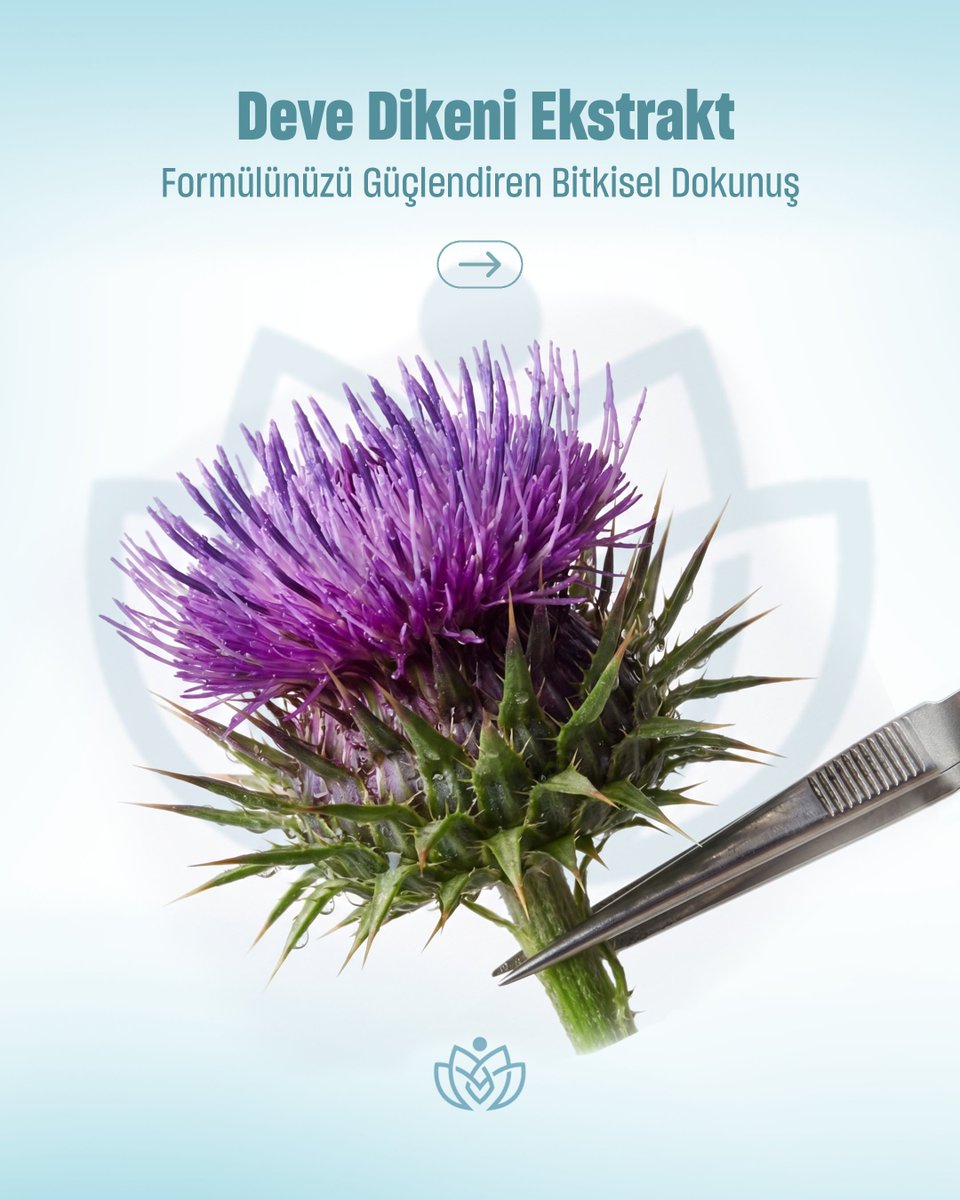newrawmaterials's tweet photo. “Botanical Active” dönemi başladı. 🌿
Deve Dikeni Ekstraktı; stabilizasyon, hızlı emilim ve irritasyon yönetimini tek formülde buluşturur.
Bilim destekli, yüksek saflıkta bitkisel çözümler için NRM portföyünü keşfedin.

#newrawmaterials #rawmaterials #hammadde #devedikeniekstrakt https://t.co/wBf6I99Ioj