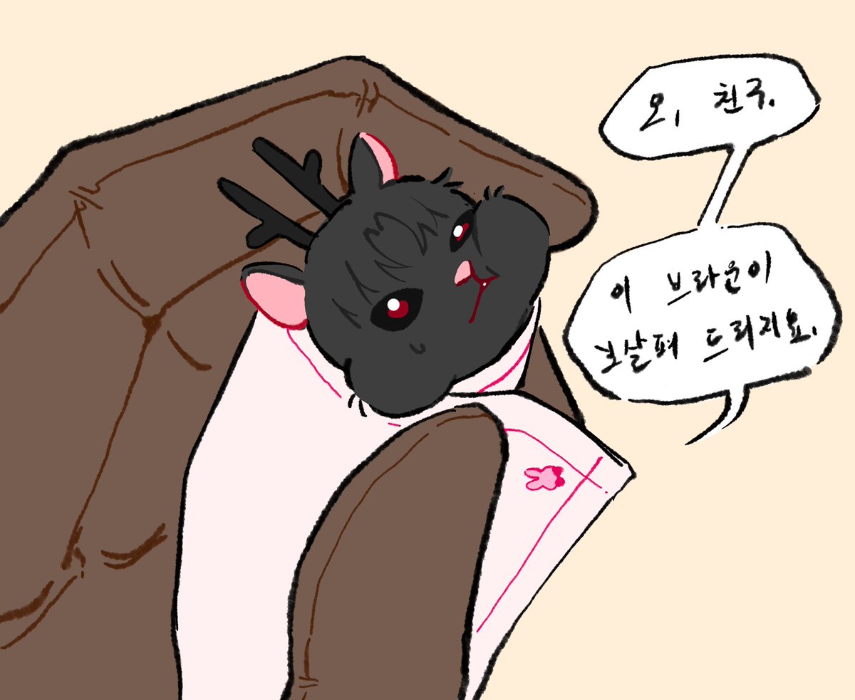 🍩 돌 멩 이 🍩 tweet media