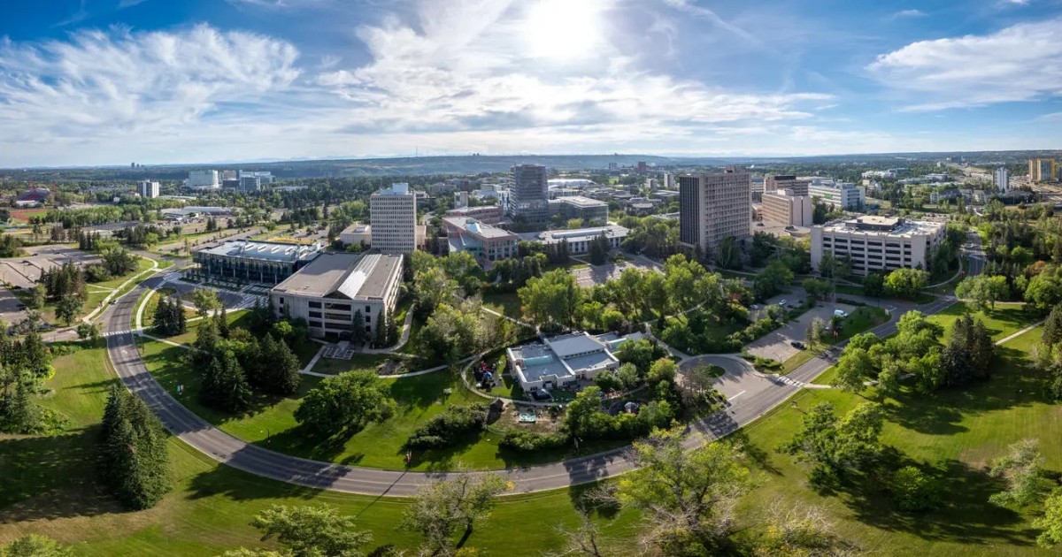 U Calgary tweet media
