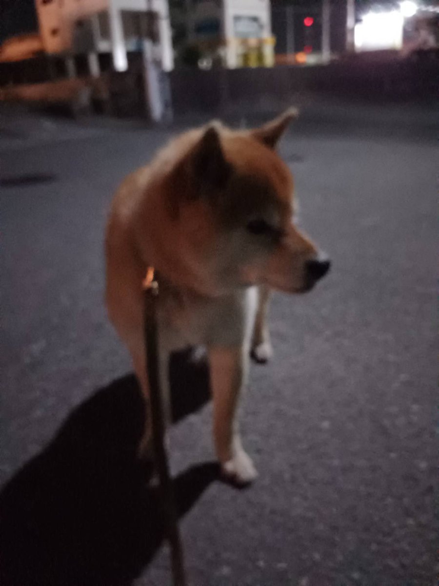 和花 tweet media