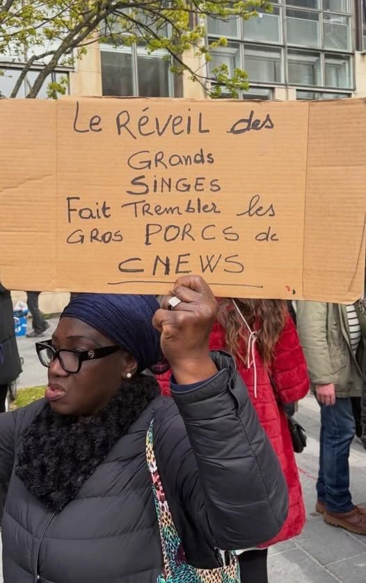 Amira95580's tweet photo. @BallyBagayoko @Elo_Dvt87 Ces gros porcs de @CNEWS sont à vomir.  Imaginez les mêmes propos sur un maire juif avec une double identité israélienne. La chaîne serait définitivement fermée et tout le monde trouverai ça normal et légitime ! https://t.co/lWs7mnTpZz