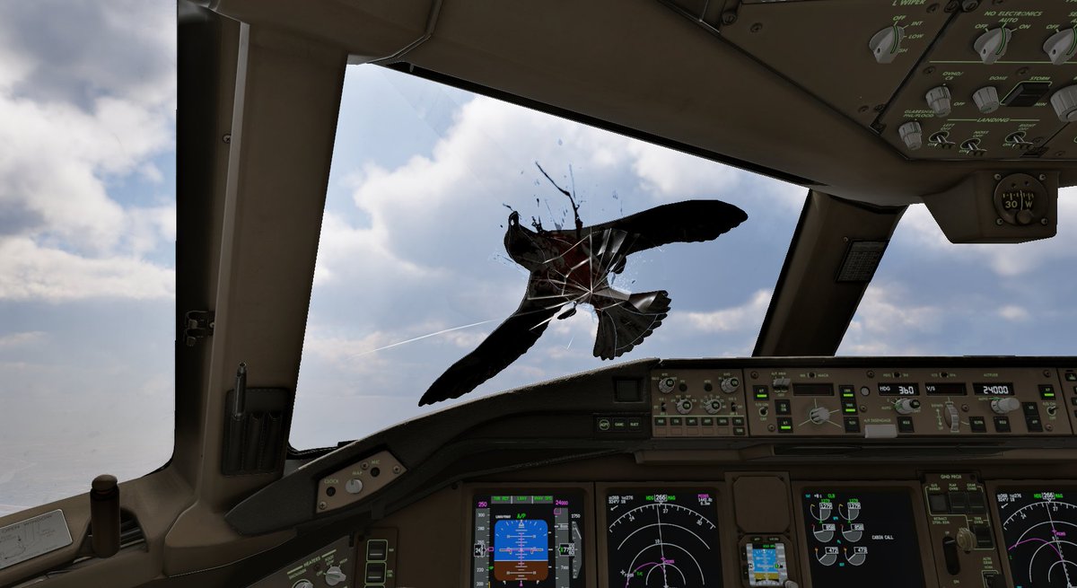 FlightFactor tweet media