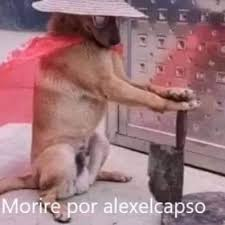 Señor de la Bedrock tweet media
