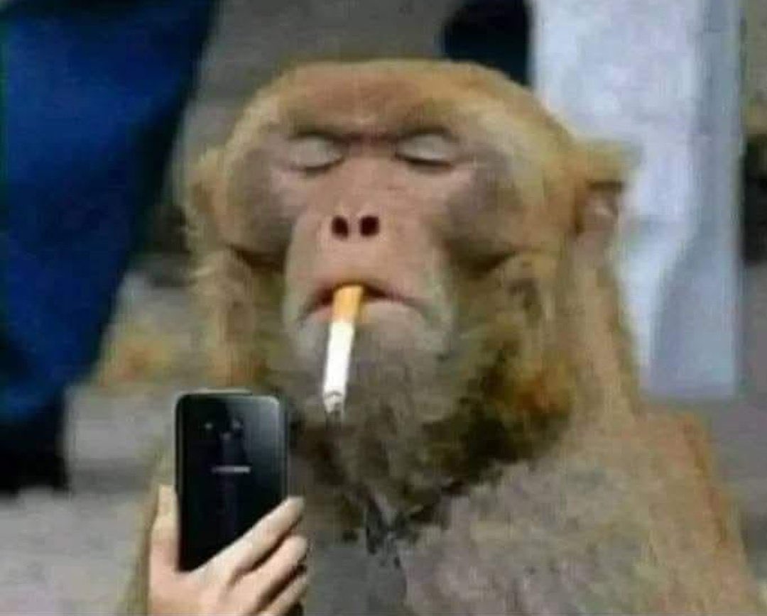 🎼K.N🎼 tweet media