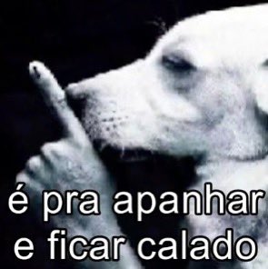 Helena Nascimento tweet media