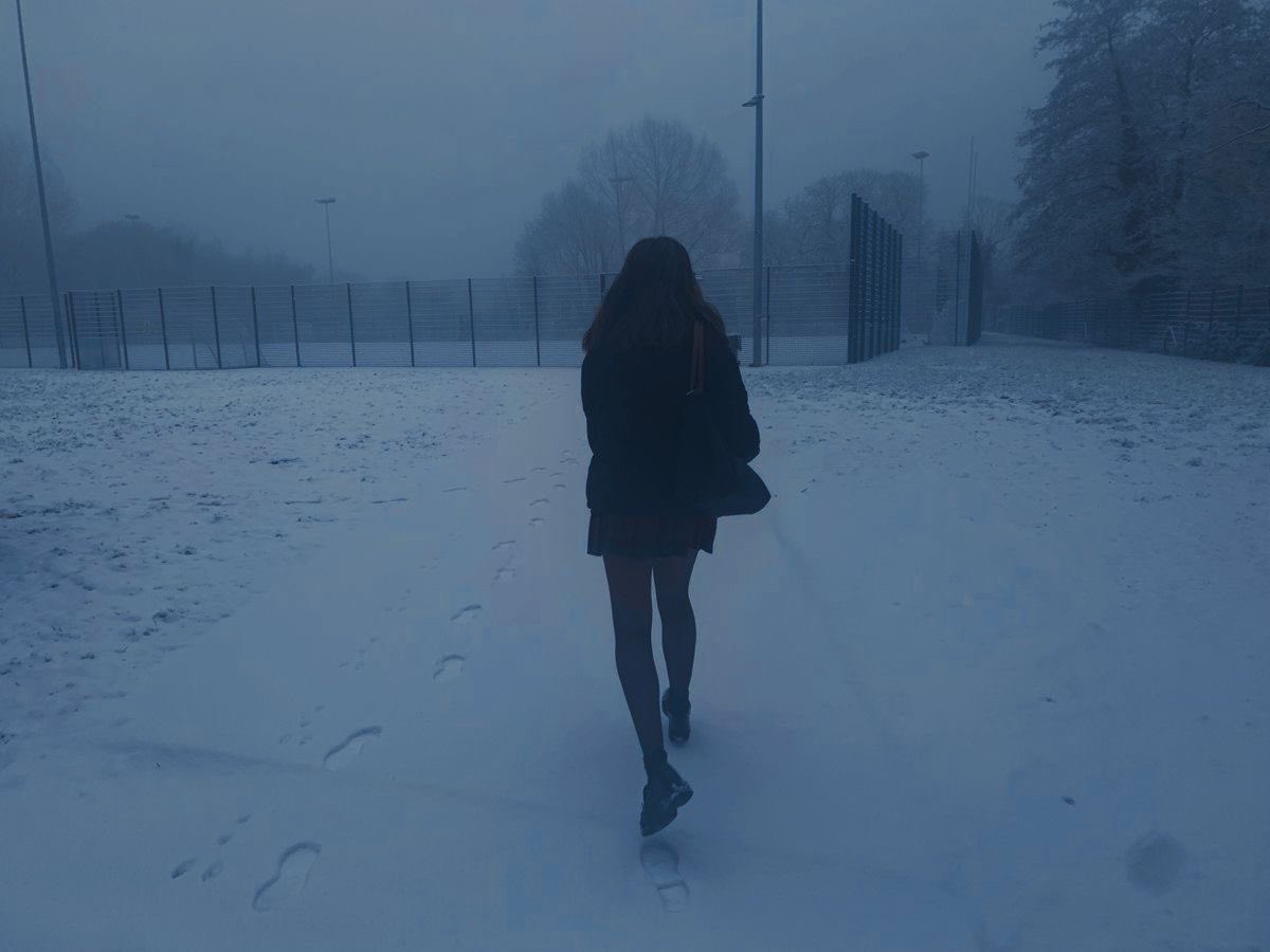 ⋆⁺₊❅ winter tweet media