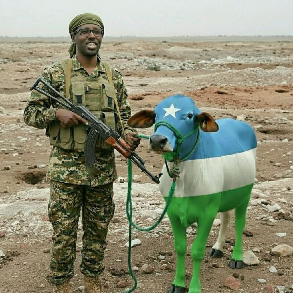 Barre🇸🇴🇩🇯🇺🇸☺️🍉🍌🦍 tweet media