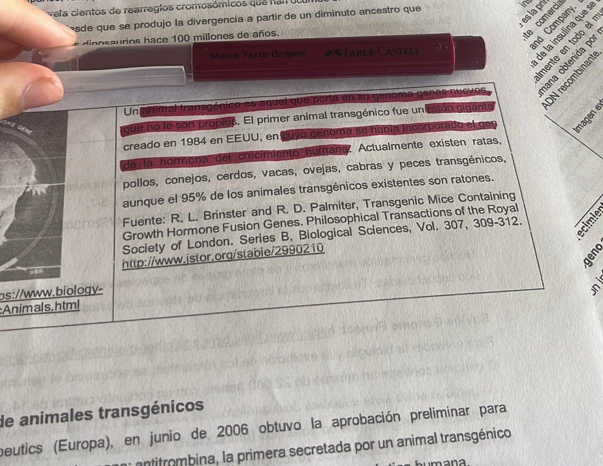 delfi ✮⋆˙ lvs lo tweet media