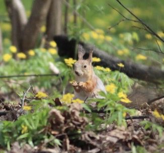 alleshov's tweet photo. #MoscowSpring #MoscowParks https://t.co/EgxuhOm6tx