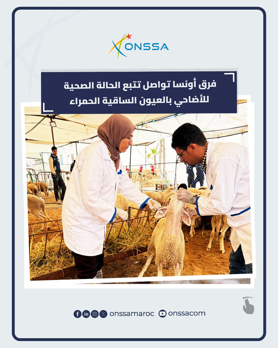 المكتب الوطني للسلامة الصحية للمنتجات الغذائية tweet media